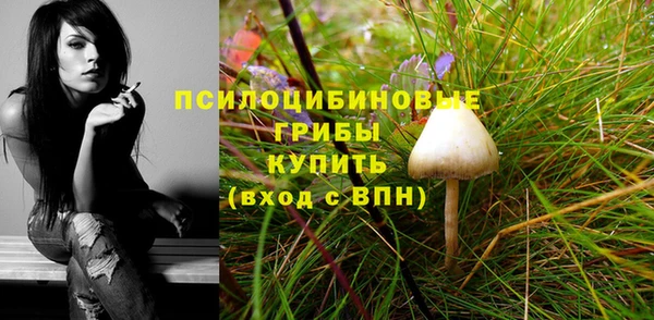 ешки Беломорск