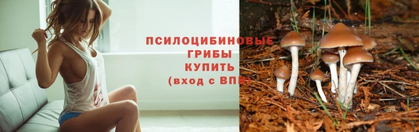 прущий лед Балахна
