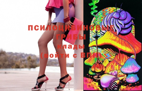 spice Балабаново